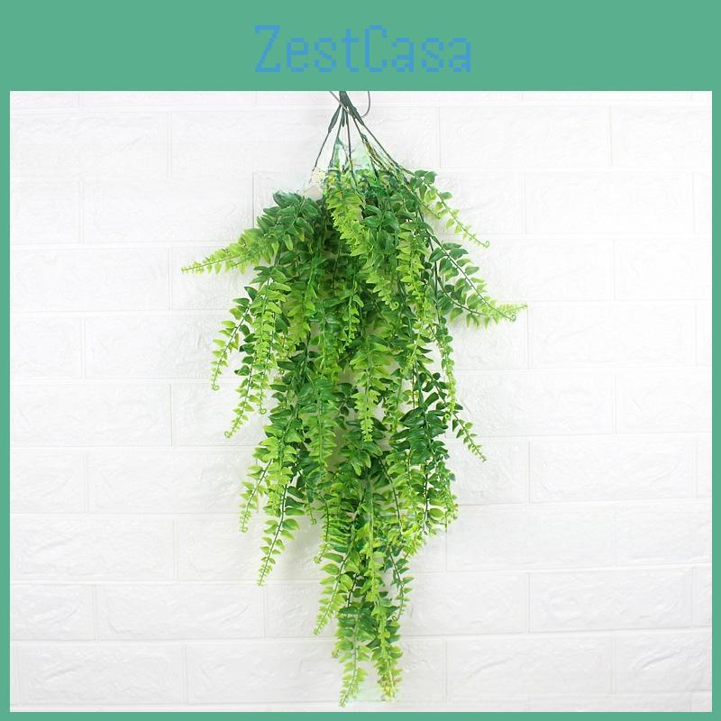 Pteridium Plant Latiusculum For Wedding And Outdoor Events Decorate