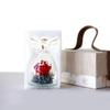 1 Set Little Angel Preserved Roses In Glass Forever Eternal Rose Flower Christmas Birthday Valentine Day Wedding Gift Women Girl
