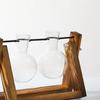 er Bulb Terrarium Vase for Home Decor