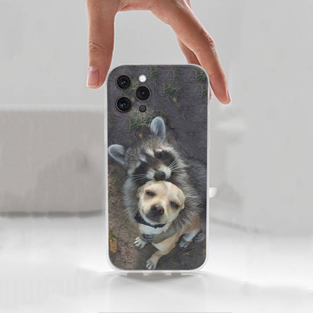 

Cute R-Raccoon Case For iPhone 15,11,12,13,16,14,17,Pro,Max,Plus,SE,Mini,X,XS,XR, Transparent Soft Silicone iPhone17promax