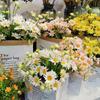 Decorazioni per la casa – Ghirlande e fiori artificiali