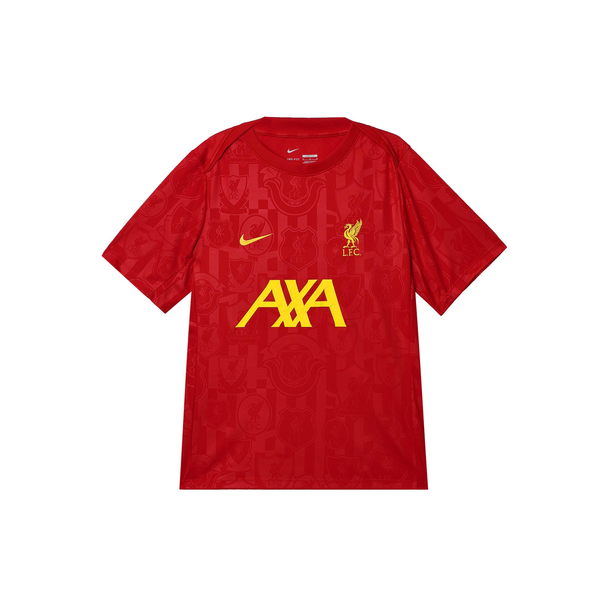 

Футболка Nike Liverpool Football Club с вышитым логотипом Comfort с коротким рукавом, спортивная майка для мужчин, цвет «красный» FN9653-688 M