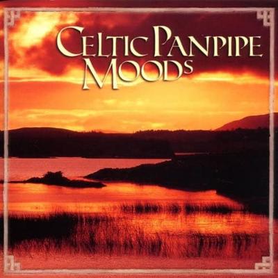 CD PANFLÉTNA NÁLADY - Panflétnové nálady US Hudba Ostatní Použité