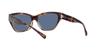 Sunglasses HC8370F CH660 BEIGE SOLID Lens 56 [Coach] TORTOISE/TRANSPARENT Frame/BLUE