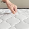 Yi Yi Ai Coconut Palm Latex Student Mattress