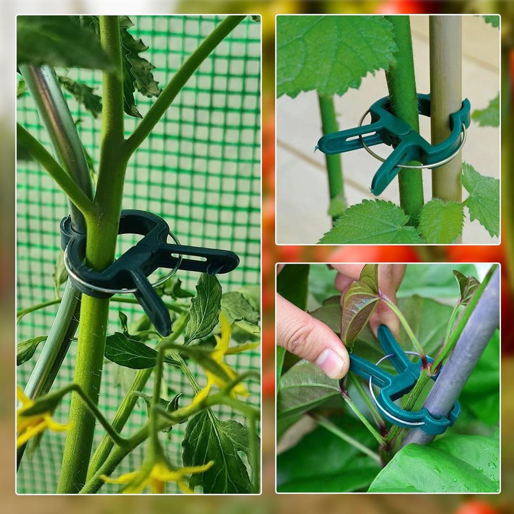 Plant Fixed Support Clips Garden Greenhouse Holders Reusable Plants Climbing Clamps for Flower Vines Tomato Vegetables Fastener