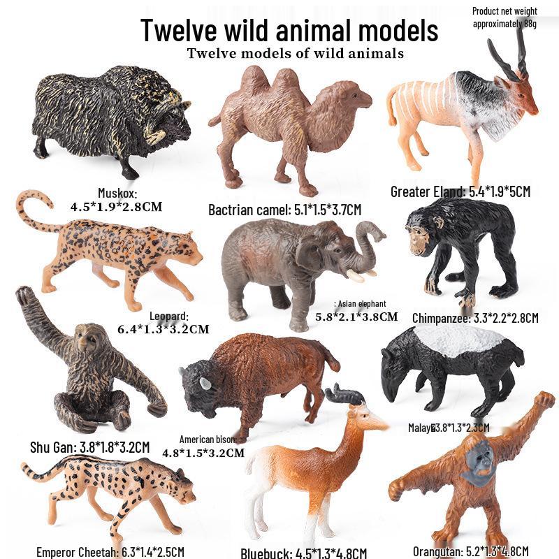 Mini Animal Growth Cycle Toys: Butterfly, Rooster, Ant, Frog, Sea Turtle, Dragonfly