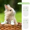 40pcs Disposable Rabbit Paw Protectors For Bunny Recovery and Relief Wound Pain