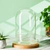 Cupola di Vetro con Foro per l'Aria Campana di Vetro a Cloche con Base Espositore da Tavolo per la Casa Contenitore Terrario Trasparente per Piante, Terrario