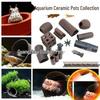 Pești și animale marine – Decorul acvariului