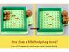 Little Hedgehog's Maze Adventure: Parent-Child Interactive Educational Toy