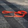 Hexa City Dog Leash, Wide, S, /Neon