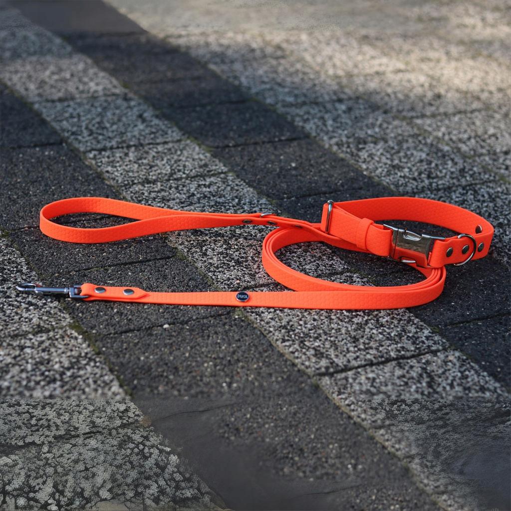 Hexa City Dog Leash, Wide, S, /Neon