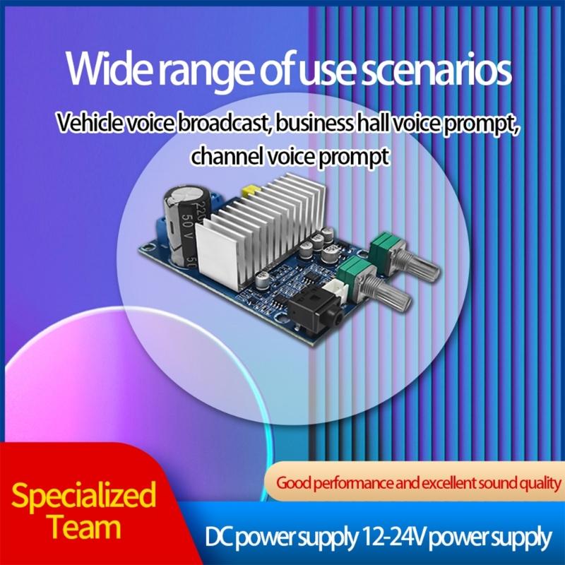 High Efficiency TPA3116D2 Digital Amplifier Board with Low Frequency Channel and Wide Working Voltage Range