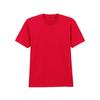 Mens Soft Style Enzyme Washed Midweight T-Shirt