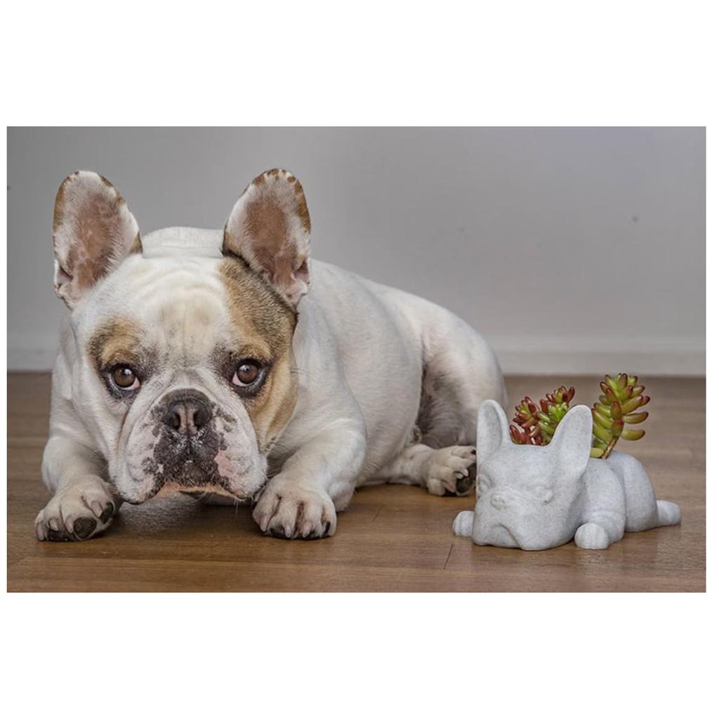 Vadktai Resin Dog  Planter,  Puppy Plant Planter, French Shape Cute Bonsai Flower Pots For Home Garden  Desktop Decor (No Plants)