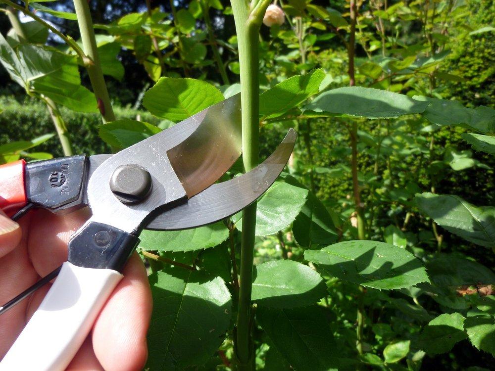 Okatsune Pruning Shears 200mm NO.103