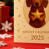 Dachshund Dog Advent Calendar 2025 24 Days Christmas Countdown Calendar Festive
