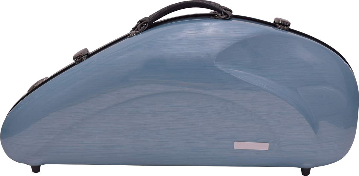 

Vivace Alto Saxophone Case Polycarbonate Exterior Color: Satin Mint