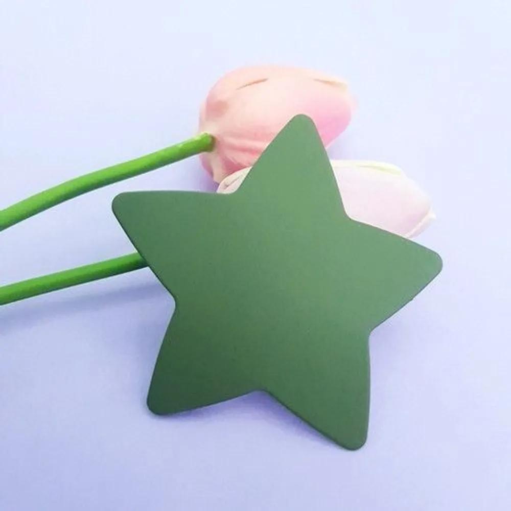 10 Big Star Downtone Snap Hair Clip Hair Pin Bangs Point Y2K Look Girl Group Date Star Hair Pin