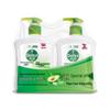 Dettol Plant Care Antibacterial Hand Wash Set