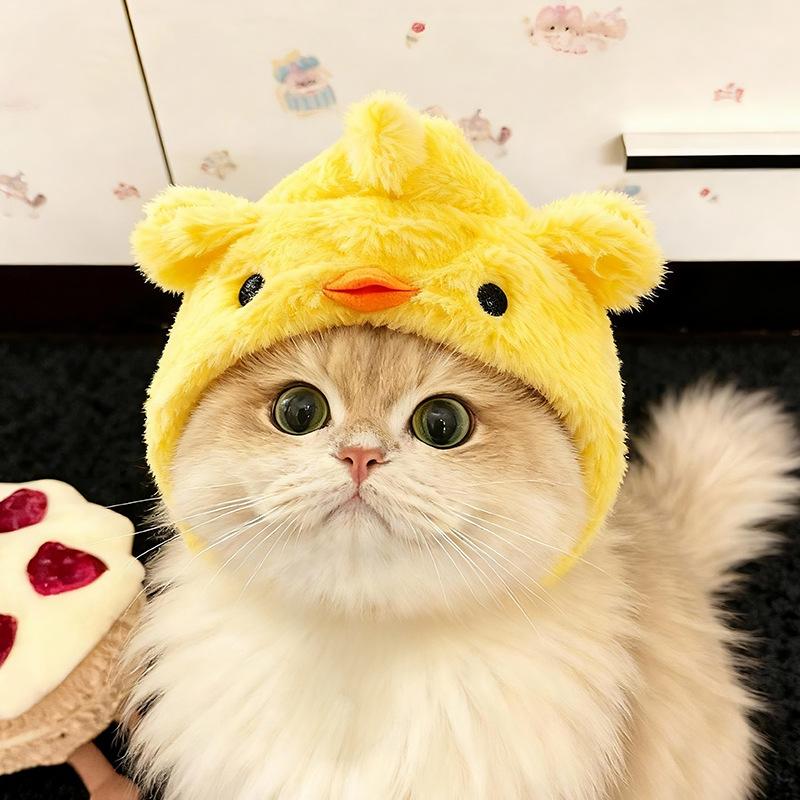 Cute and funny cat costume hat, pet hat, golden gradient British Shorthair, German Shepherd, dog, chick headgear, cartoon headwear