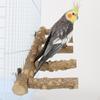 Vogel Papagei Leiter Sitzstange Sitzstangen Plattform Langlebige Holzbrücke für Papageien