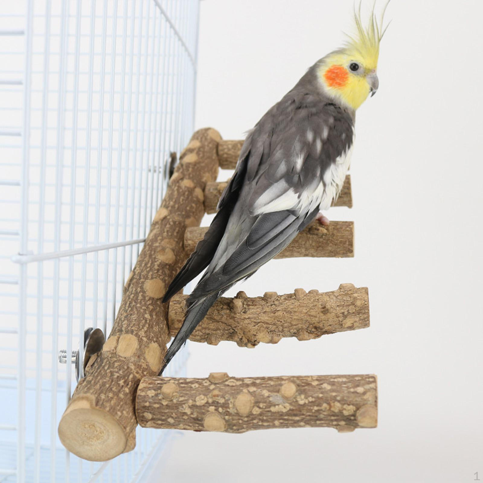 Bird Parrot Ladder Perch Perches Platform Durable Wood Bridge for Parrots