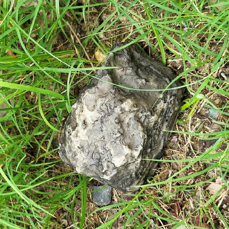 Scatola Sicura Nascondiglio Finta Pietra con Scomparto Dispositivo per Soldi Privati