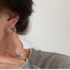 Irregular Wave Pleated Women's Earrings with Unique Personality, New Charm Jewelry Accessories