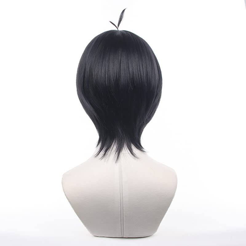 Eileen Blue Locks Kiyoshi Seiichi Wig, Heat-Resistant, Anime Wig, Disguise Wig, School Festival Wig [Includes Net]