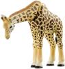 Ania Savannah Popular Animal Set AG-01