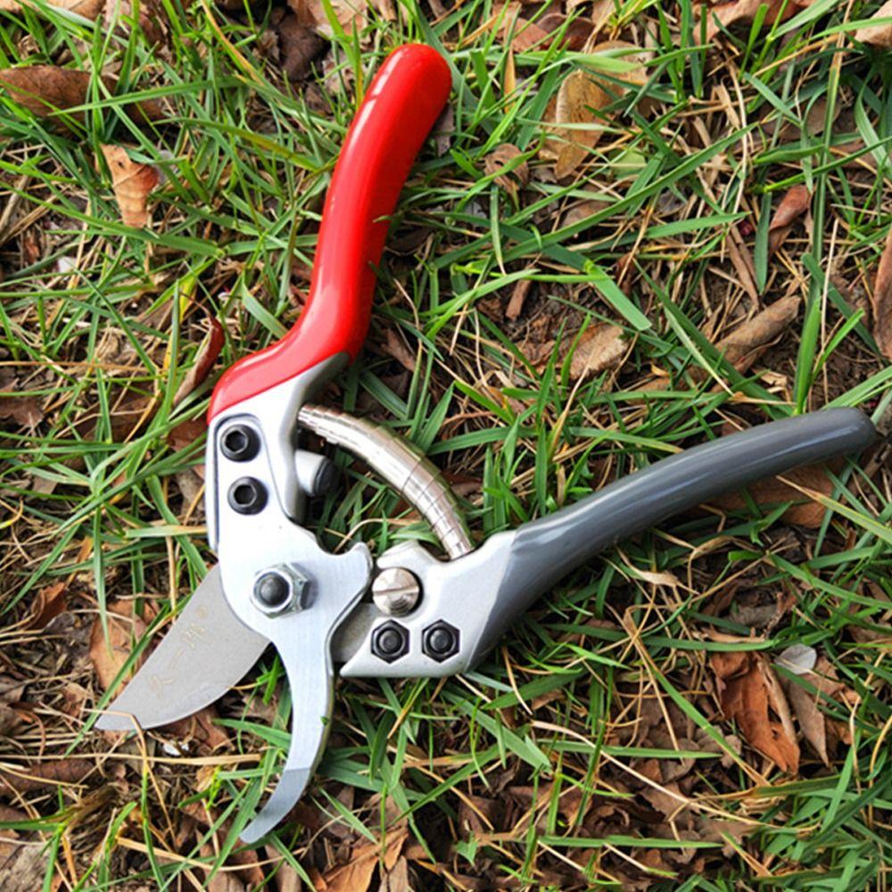 SK5 Steel Branch Pruning Scissors Labor-saving Garden Shears Fruit Tree Pruning Hand Pruner  Flower