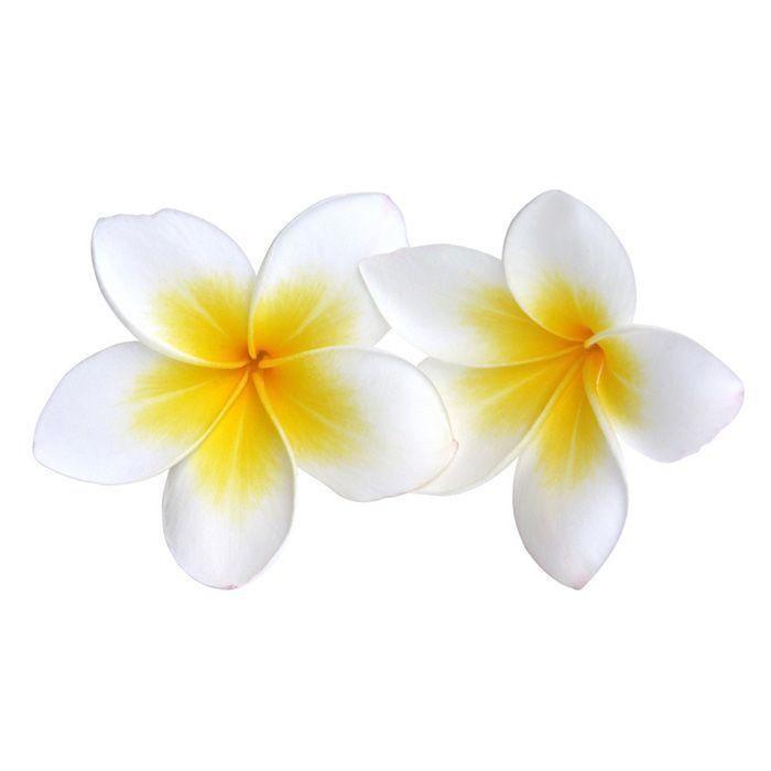 Parfum pour savon 27 ml - Monoï