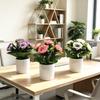 Peony Flower Artificial Plant For Home Decor And Photography Props