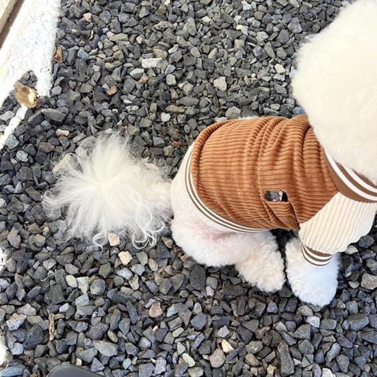 Dog Baseball Jacket Small Dogs Clothes with Raglan Sleeves Cute Sporty Dog Coat for Puppies Poodle Bichon Frise Daily Outfit