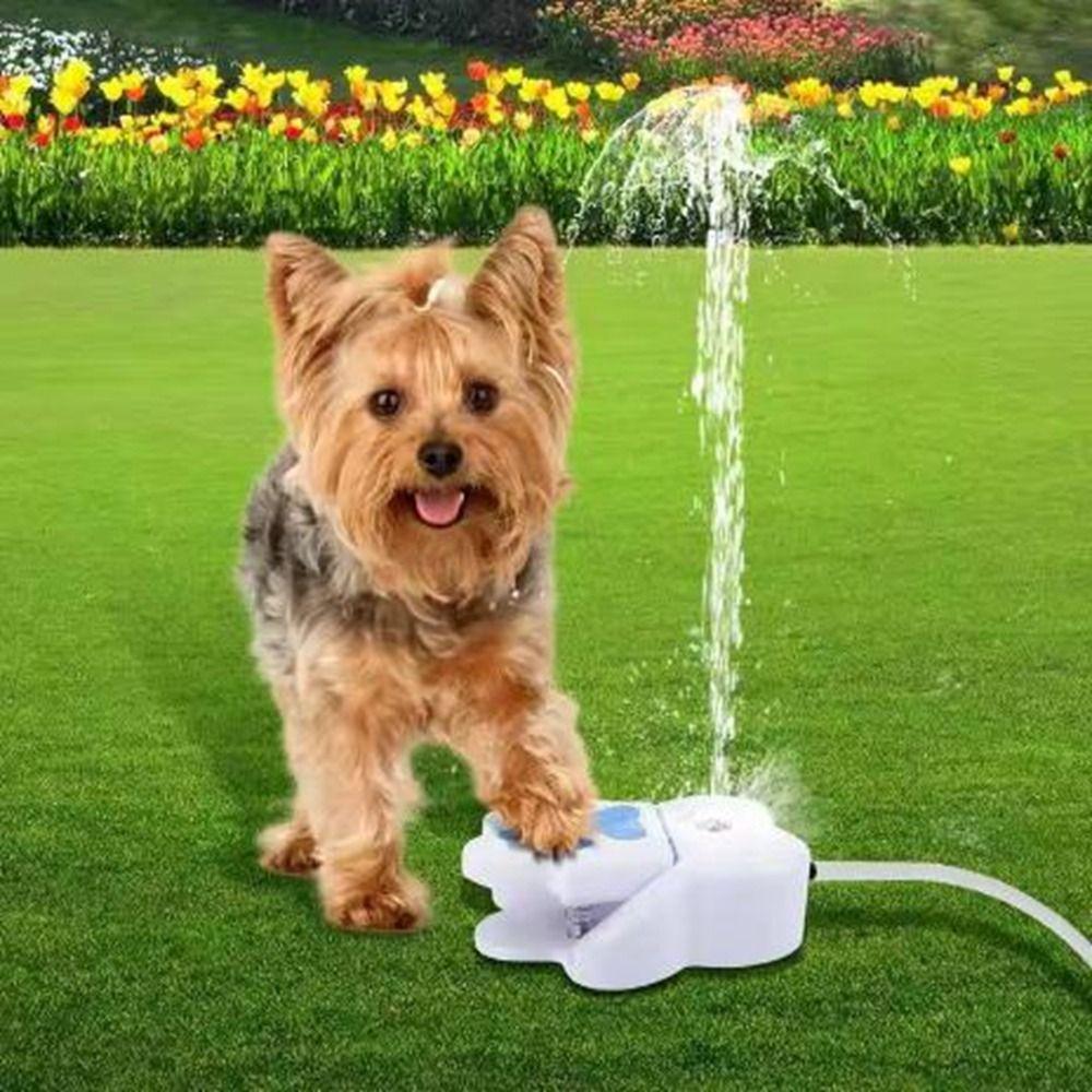 Interactive Paw Activated Pet Sprinkler Claw Shape Puppy Water Dispenser Pet Water Fountain  Home
