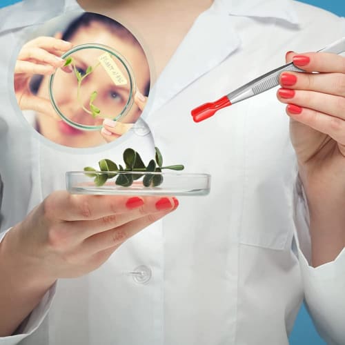 Limnyves 3-Piece Rubber-Tipped Tweezers, PVC-Coated Tweezers Set, Rubber Straight and Flat Tip Tweezers, Black