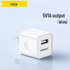 PISEN Dual-Port USB Charger, Fast Charging for Apple, Android, and Tablets.