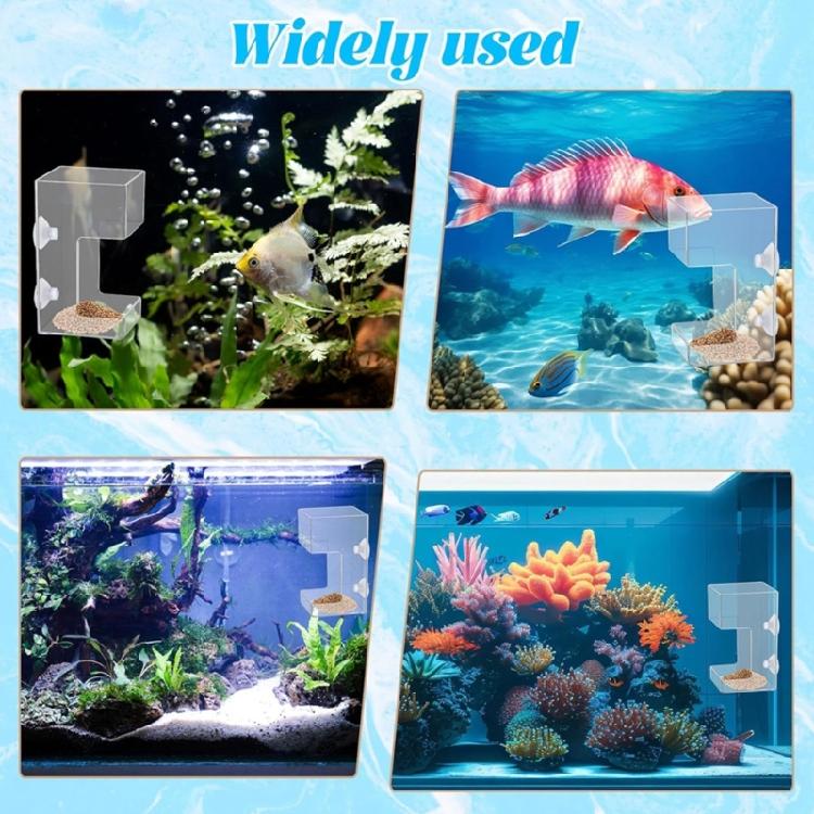 Plastic Fish Food Feeders Aquariums Feeders With Strong Suction Cups for Home And Office Aquariums