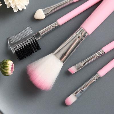 Pink Makeup Brush 5 Makeup Brush Set Eyebrow Brush Beauty Tool Easy To Carry Set Brush