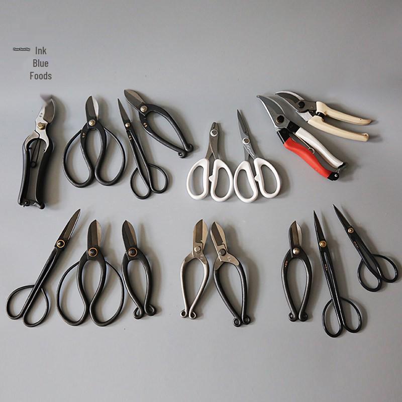 Ikenobo Florist Japanese-Chinese Composite Steel Shears: Gardening, Pruning, Carving, and Flower Arranging Scissors.