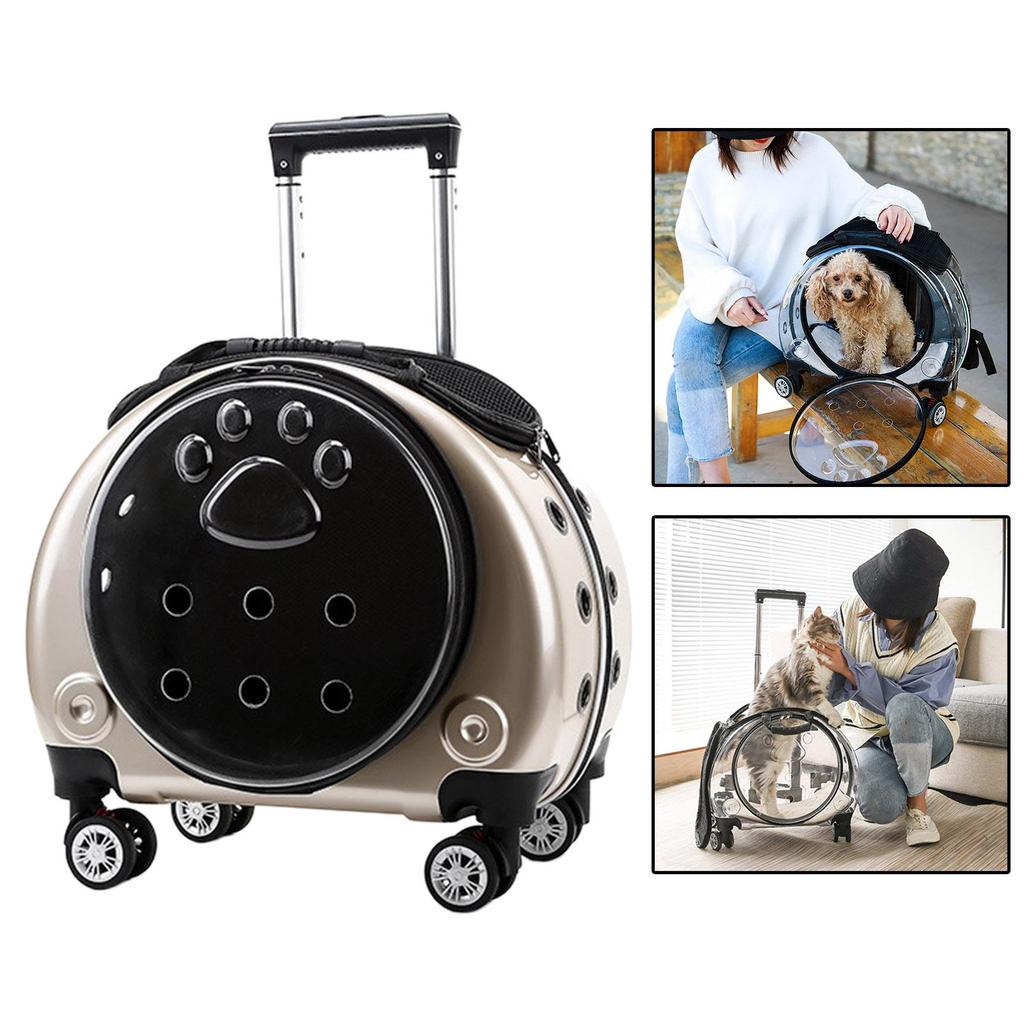 Carrying Bag for Cats, Pet Bubble Small Dogs, Rabbit, Vent Cats , Golden
