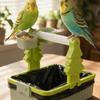 Interactive Parrot Potty Training Platform With Food Cup Parrot Perch Shelf  Pet Supplies
