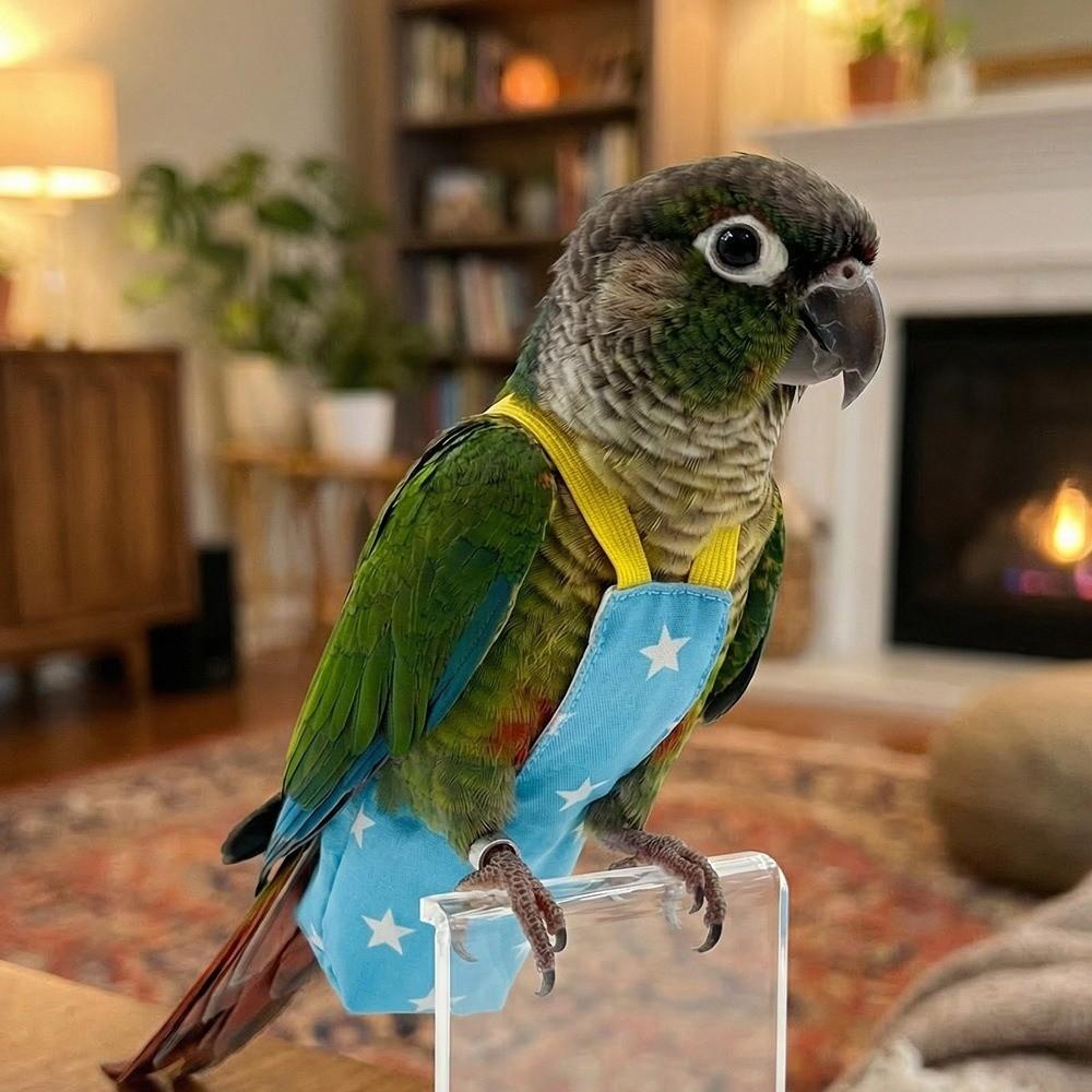 Adjustable Bird Flight Suits Breathable Bird Flight Clothes Parrot Outdoor Leashes Bird Training
