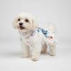Floral Printed Summer Dog Clothes Pretty Cute Puppy Clothes Dog Sleeveless Dress  Valentine‘s Day