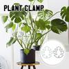 New Cross-border Monstera Shaped Plant Support Monstera Shaped Plant Support