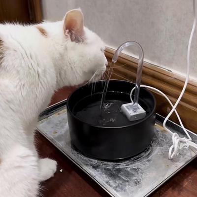 USB-Katzen-Trinkbrunnen: Leise Wasserzirkulationspumpe für Haustiere
