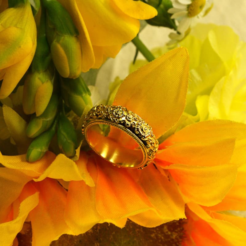 XII WEOL tournesol(R)