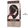 The Saem - Silk Hair Color Cream Gray Hair Cover - 5 Colors